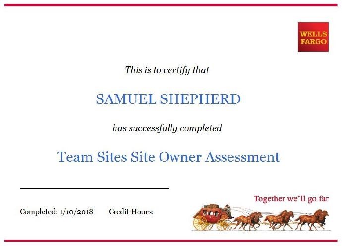 team site site owner